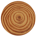 Close-up view of a round wooden disc showcasing distinct growth rings in shades of light brown.